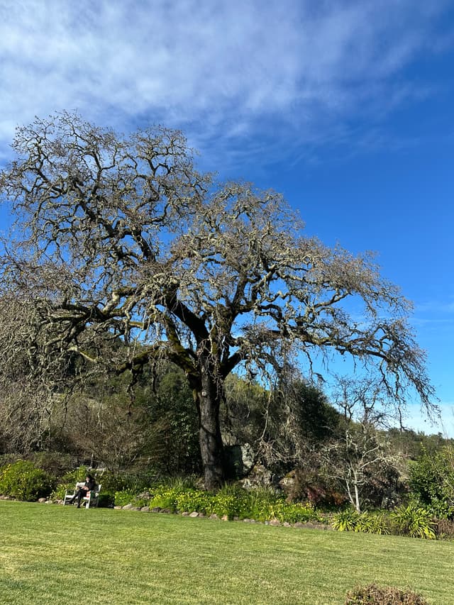 Metacrisis Response Financial Product