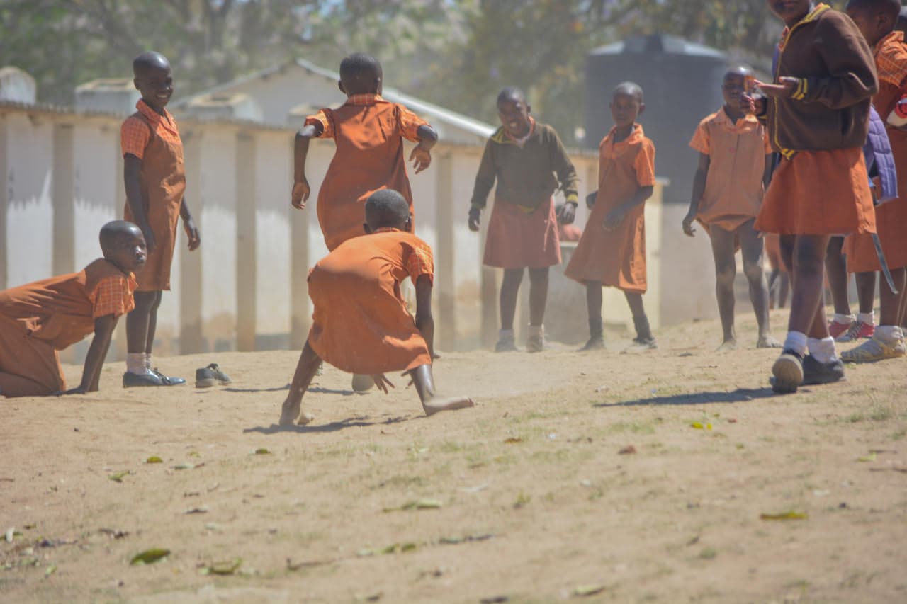 Zimbabwe Network for Early Childhood Development Actors