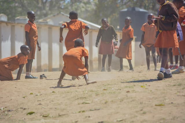Zimbabwe Network for Early Childhood Development Actors