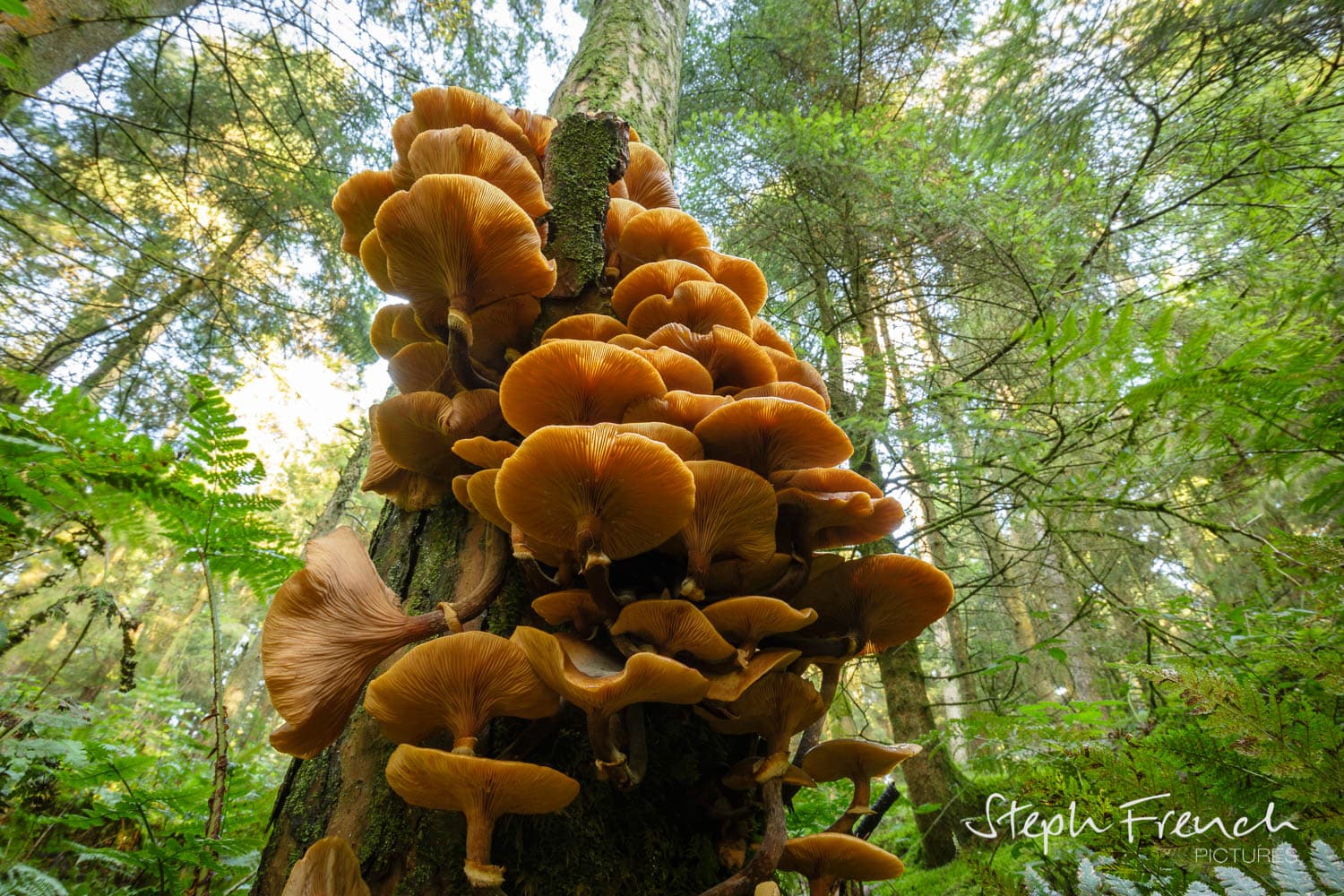 Opening the door from the other side: supporting wealth-holders