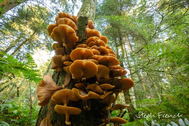 Opening the door from the other side: supporting wealth-holders