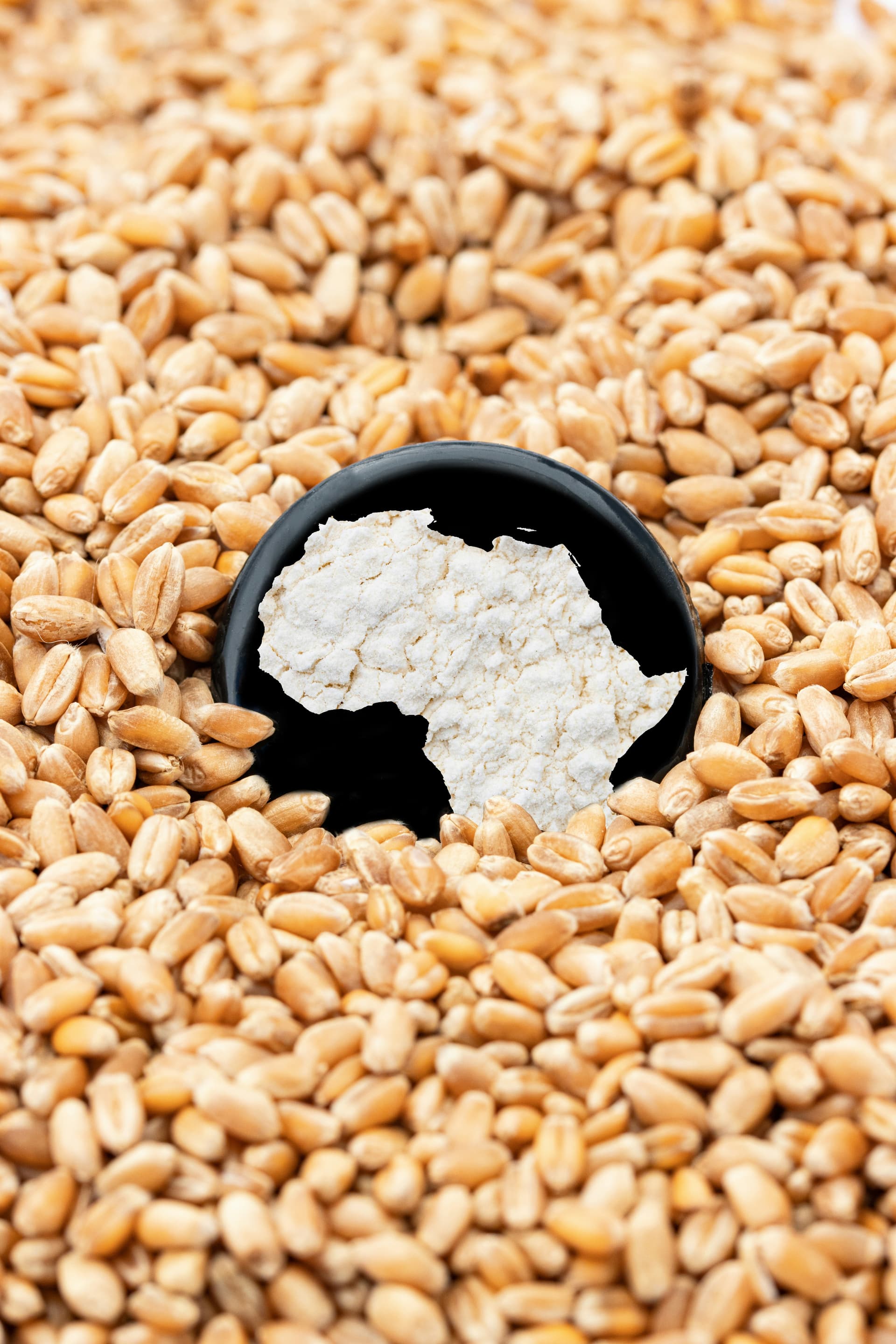 Nutritious Foods Financing Facility (N3F)