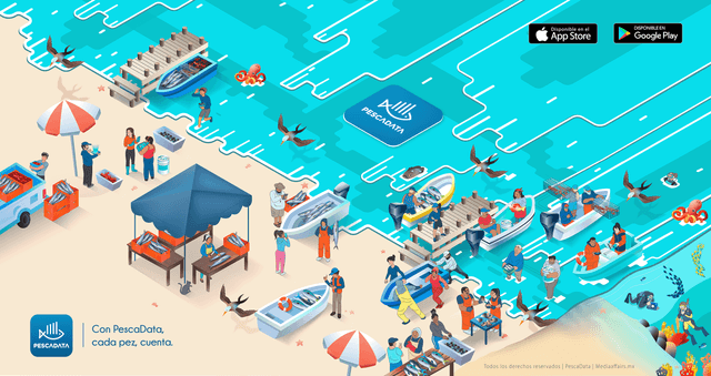 Pescadata - an app for small scale fishing communities