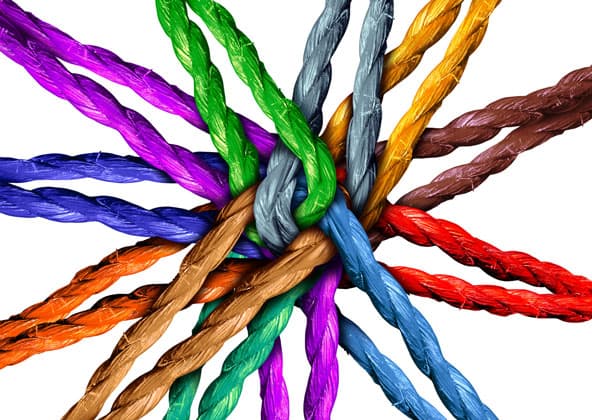 The Collective - People - Power - Planet