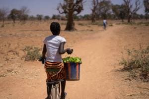 Strengthening resilience to adapt to climate change